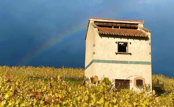 pigeonnier dans les vignes à Champdieu