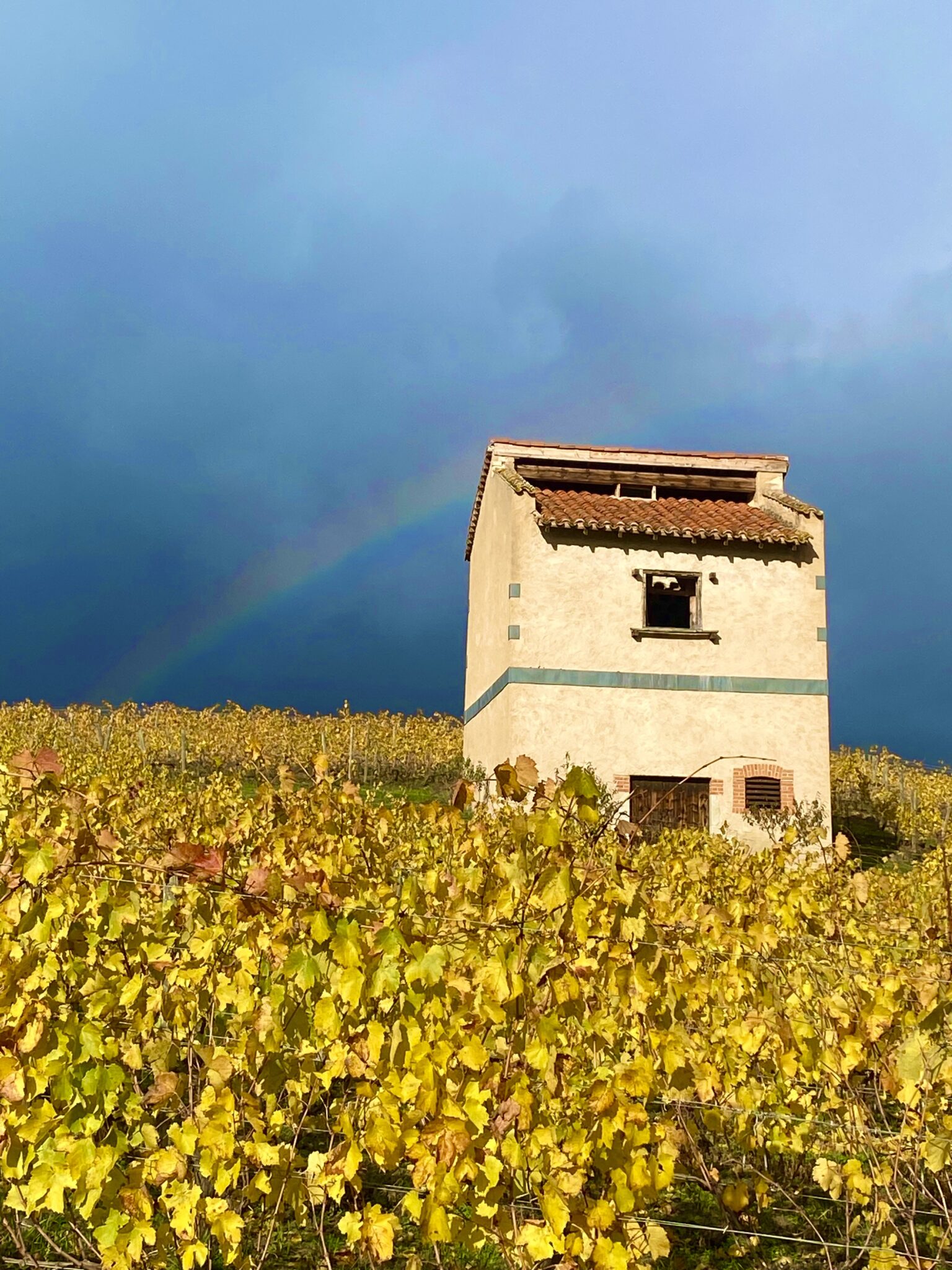 Pigeonnier dans les vignes à Champdieu  