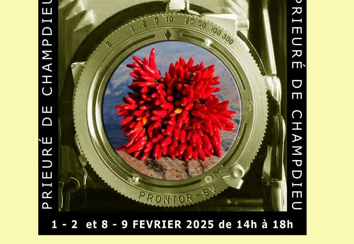 parenthèses photographiques de Champdieu 2025